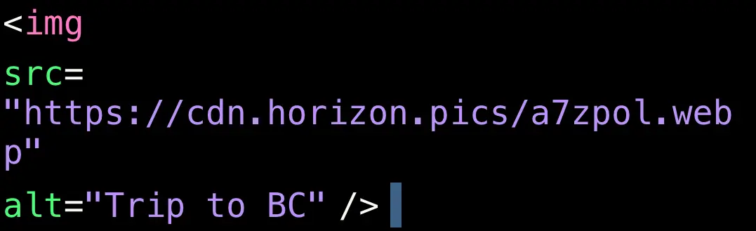 img HTML element with Horizon CDN URL