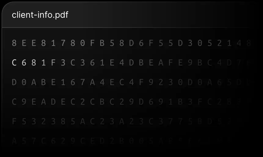File named 'client-info.pdf' with scrambled text characters